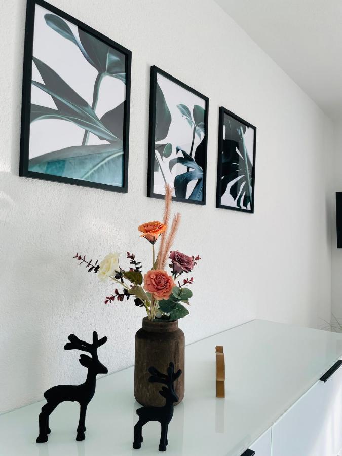 Zollernalb-Apartment Mg アルプシュタット エクステリア 写真